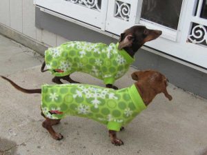 WeinerWraps-Cocoa-and-Scuby